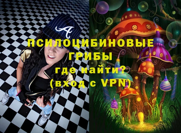 сатива Аркадак