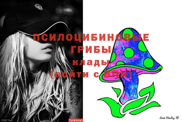 дживик Ступино