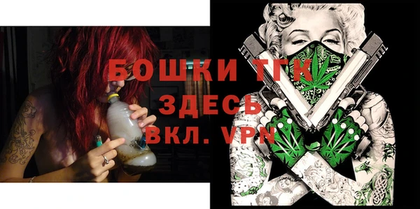 молекула духа Арсеньев