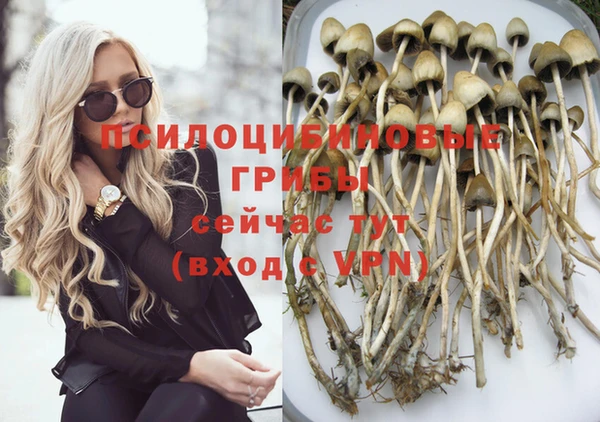 сатива Аркадак