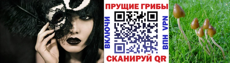 где купить наркоту  Ковылкино  Галлюциногенные грибы MAGIC MUSHROOMS 