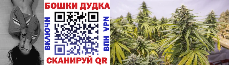 mega ссылки  shop клад  Бошки марихуана тримм  Ковылкино 